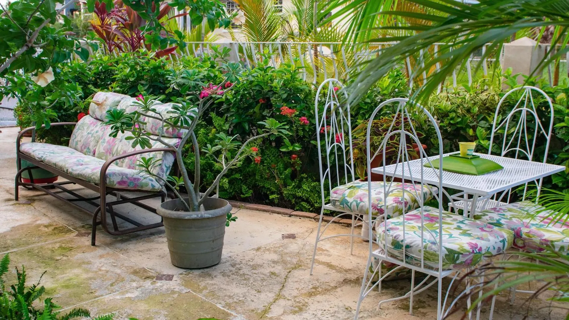 Zenbreak Bliss Apartman Bridgetown